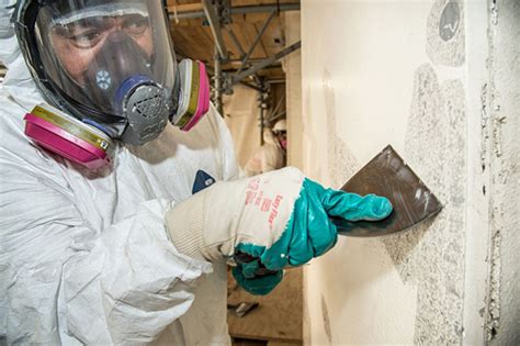 at home lead paint test|old house inspection lead paint.